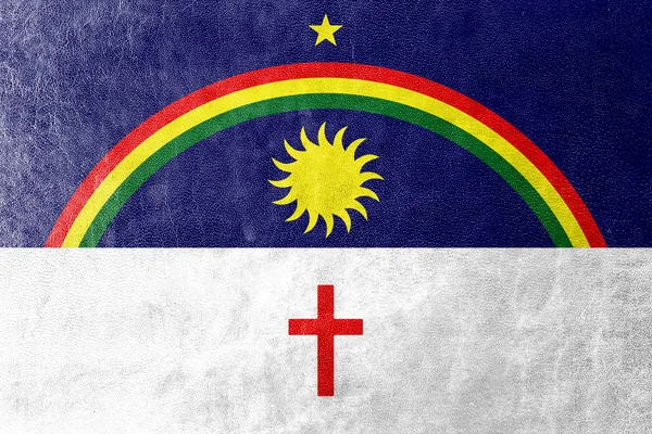 Flagge des Bundesstaates Pernambuco, Brasilien, auf Lederstruktur gemalt — Stockfoto