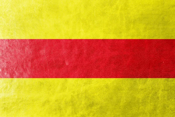 Bandiera di Pasaje, Ecuador, dipinta su texture in pelle — Foto Stock