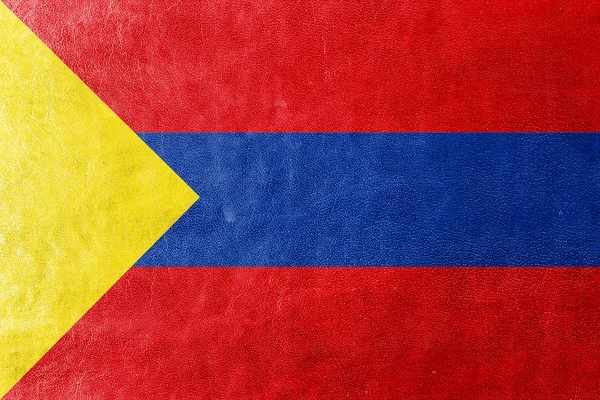 Flag of Pasto, Colombia, painted on leather texture — Stock Photo, Image