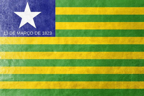 Bandeira do Estado do Piauí, Brasil, pintada sobre textura de couro — Fotografia de Stock