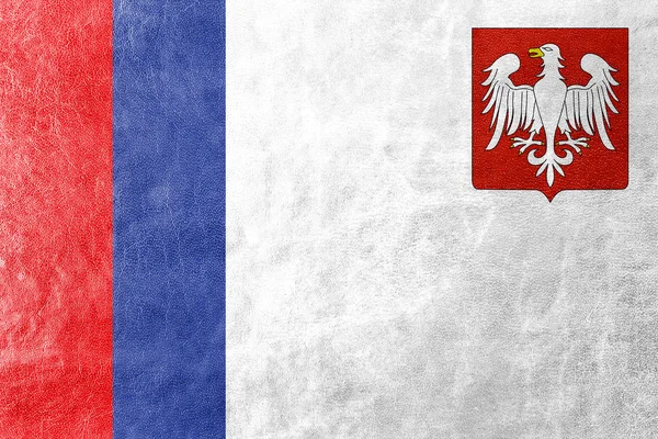 Vlag van Piotrkow Trybunalski, Polen, geschilderd op leder texture — Stockfoto