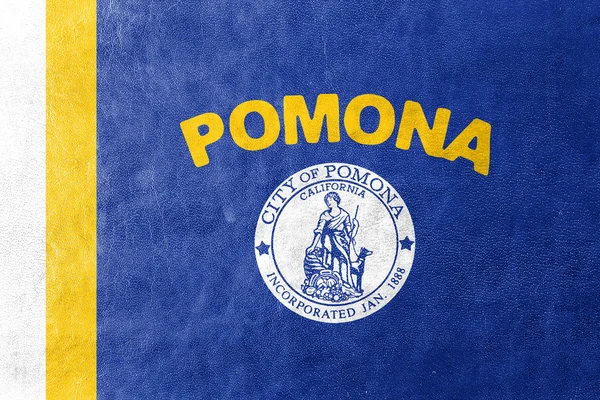 Флаг Помоны, Калифорния, США, раскрашенный на кожаной текстуре — стоковое фото
