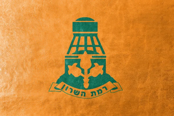 Bandera de Ramat HaSharon, Israel, pintada sobre textura de cuero —  Fotos de Stock