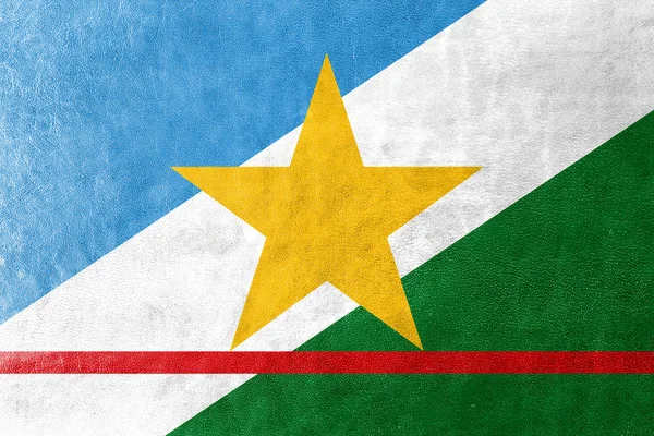 Флаг штата Рорайма, Бразилия, раскрашенный на кожаной текстуре — стоковое фото