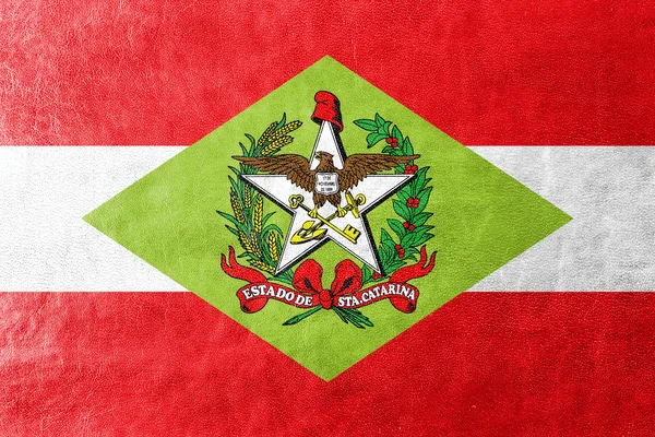 Flagge des Bundesstaates Santa Catarina, Brasilien, auf Lederstruktur gemalt — Stockfoto