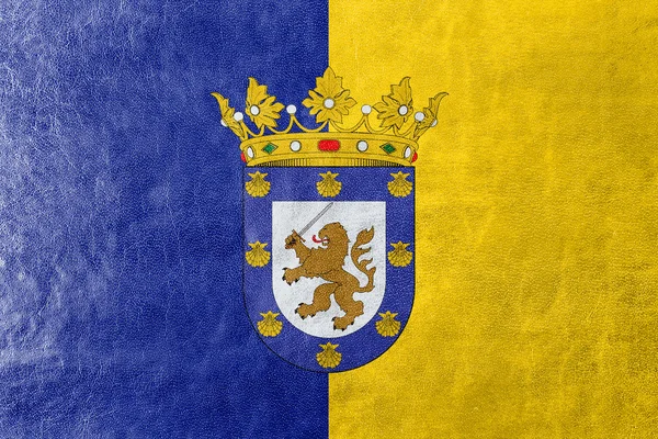 Прапор Сантьяго, Чилі, намальовані на текстуру шкіри — стокове фото