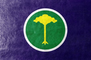 Sao Carlos, Sao Paulo, Brezilya bayrağı