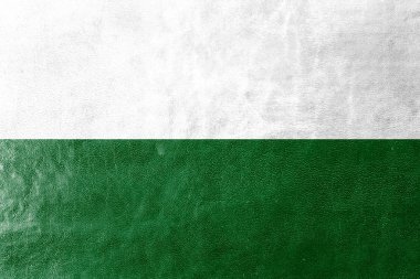 Saxony, Almanya, bayrağı deri dokusu üzerinde boyalı