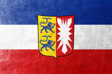 Kat, Almanya'nın kuzeyinde Schleswig-Holstein bayrağı