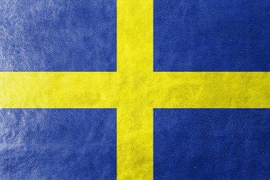 Toulon, Fransa, bayrağı deri dokusu üzerinde boyalı