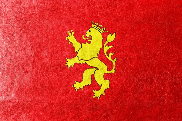 Флаг Сарагосы (Сарагосы), Испания, раскрашенный на кожаной текстуре — стоковое фото