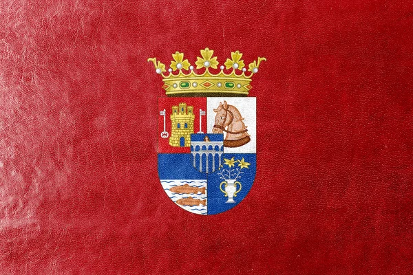 Bandera de Segovia, España, pintada sobre textura de cuero — Foto de Stock