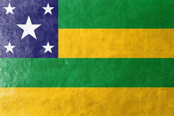 Vlag van de Braziliaanse Sergipe, geschilderd op leder texture — Stockfoto