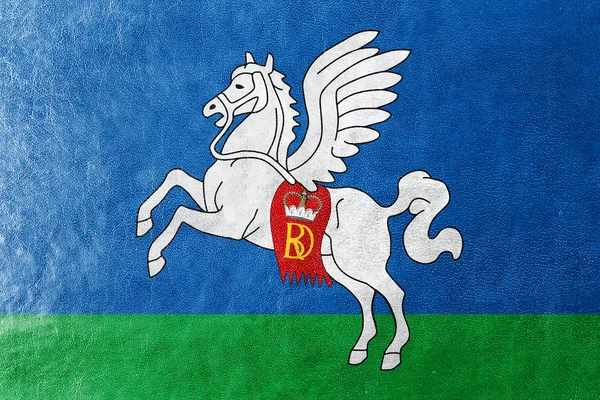 Прапор Sluck (Слуцьк), Білорусі, намальовані на текстуру шкіри — стокове фото