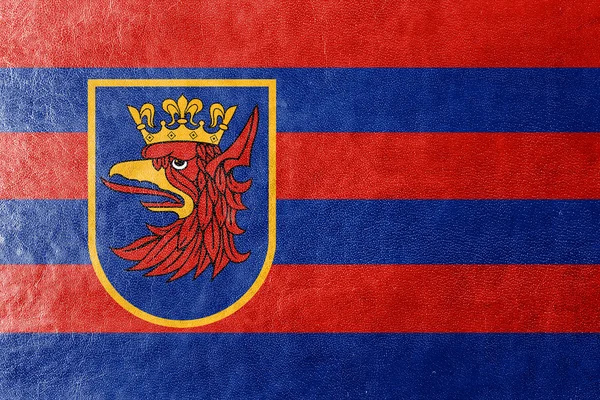 Flagga Szczecin, Polen, målade på läder texture — Stockfoto