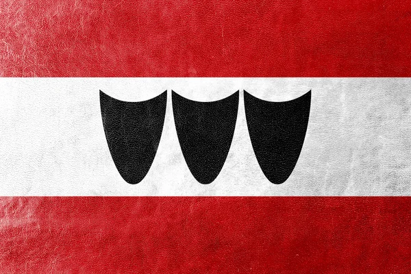Flag of Trebic, Czechia, painted on leather texture — Stock Photo, Image