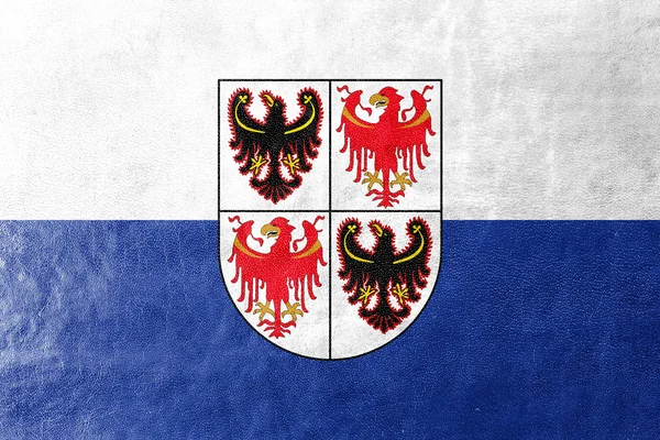 Vlag van Trentino - Zuid-Tirol regio, Italië — Stockfoto