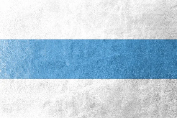 Flag of Tucuman Province, Argentina, painted on leather texture — Stock Photo, Image