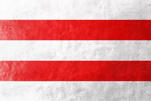 Bandeira de Usti nad Labem, Czechia, pintada sobre textura de couro — Fotografia de Stock