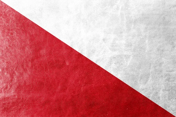 Flag of Utrecht, Netherlands, painted on leather texture — Stock Photo, Image