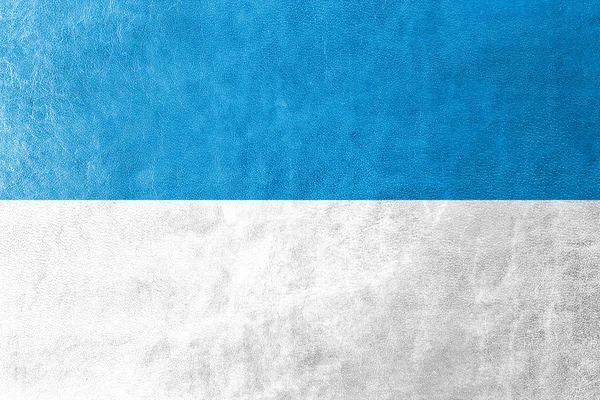 Bandiera di Viljandi, Estonia, dipinta su texture in pelle — Foto Stock