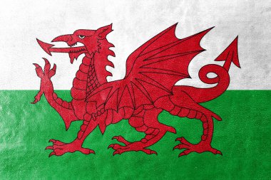 Galler, Birleşik Krallık, bayrağı deri dokusu üzerinde boyalı