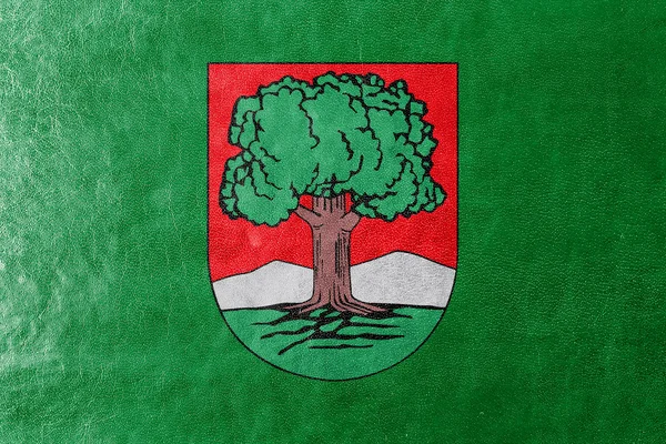 Flag of Walbrzych, Poland, painted on leather texture — Stock Photo, Image