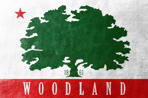 Flag of Woodland, California, USA, painted on leather texture — Stock Photo, Image