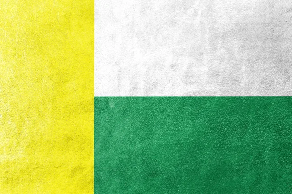 Флаг Зеленоны Горы, Польша, раскрашенный на кожаной текстуре — стоковое фото