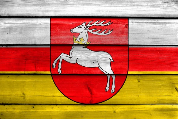 Vlajka Lublinské vojvodství, Polsko — Stock fotografie