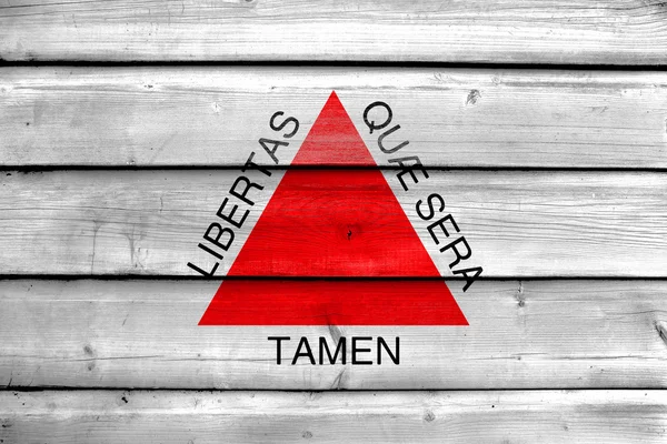 Minas Gerais eyalet, Brezilya bayrağı