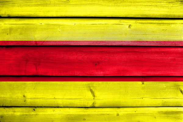 Флаг Пасаже, Эквадор, раскрашенный на старом деревянном фоне — стоковое фото