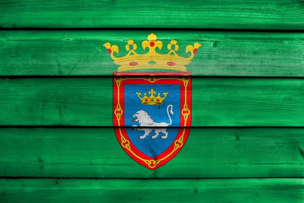 Flagge von Pamplona, Spanien, gemalt auf altem Holzplankenhintergrund — Stockfoto