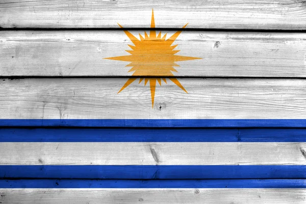 Flag of Palmas, Tocantins, Brazil — Stock Photo, Image
