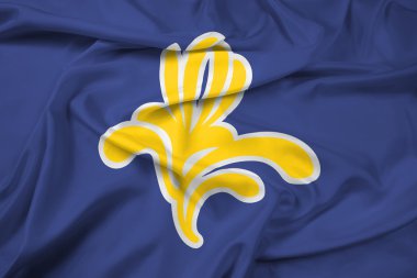 Brüksel Bölgesi, Belçika 1991-2015 bayrağı sallayarak