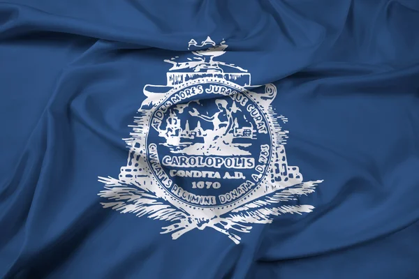 Wapperende vlag van Charleston, South Carolina, Verenigde Staten — Stockfoto