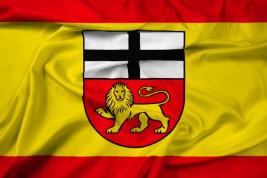 Bonn, Almanya bayrağı sallayarak