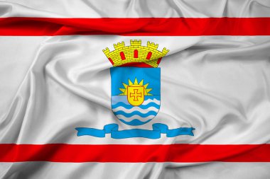 Florianopolis, Santa Catarina, Brezilya bayrağı sallayarak
