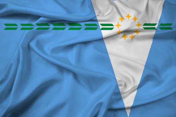 Zwaaien de vlag van de provincie Formosa, Argentina — Stockfoto