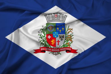 Joinville, Santa Catarina devlet, Brezilya bayrağı sallayarak