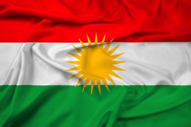 Kürdistan bayrağı sallayarak