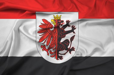 Kuyavian-Pomeranian Voyvodalığı arması ile bayrağı sallayarak