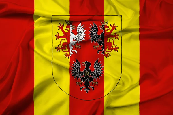 Розмахуючи прапором Лодзьке воєводство з гербом, Польща — стокове фото