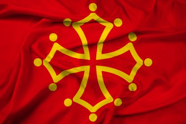 Midi Pyrenees bölge, Fransa bayrağı sallayarak