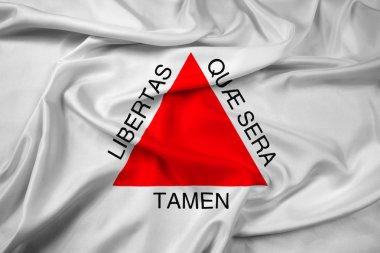 Minas Gerais eyalet, Brezilya bayrağı sallayarak