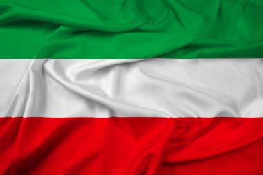 North Rhine-Westphalia, Almanya bayrağı sallayarak