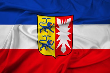 Kat, Almanya ile'nın kuzeyinde Schleswig-Holstein bayrağı sallayarak