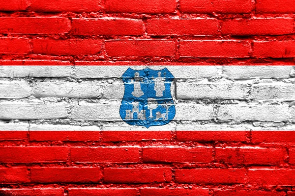 Bandera de Asunción, Paraguay, pintada sobre muro de ladrillo —  Fotos de Stock