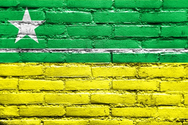 Flagge von boa vista, roraima, Brasilien, gemalt auf Ziegelwand — Stockfoto