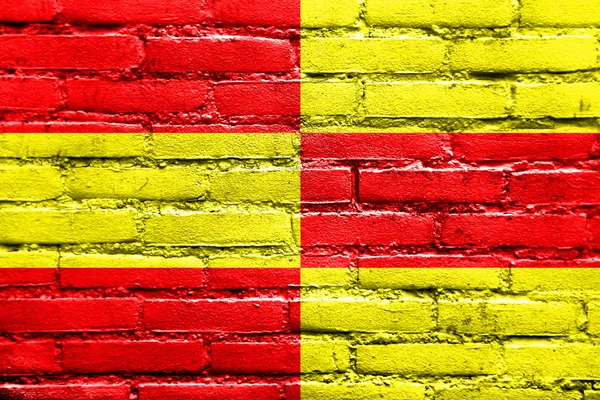 Drapeau de Briceni, Moldavie, peint sur un mur de briques — Photo